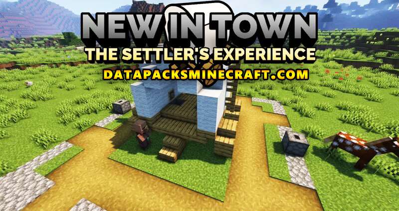 New In Town The Settler's Experience 1.20.2