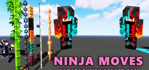 Ninja Moves 1.20.5