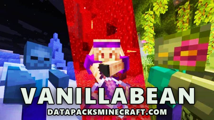 Vanillabean DataPack 26.3