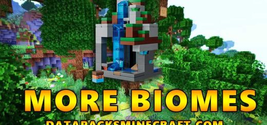 More Biomes DataPack 26.3